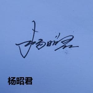 杨昭君